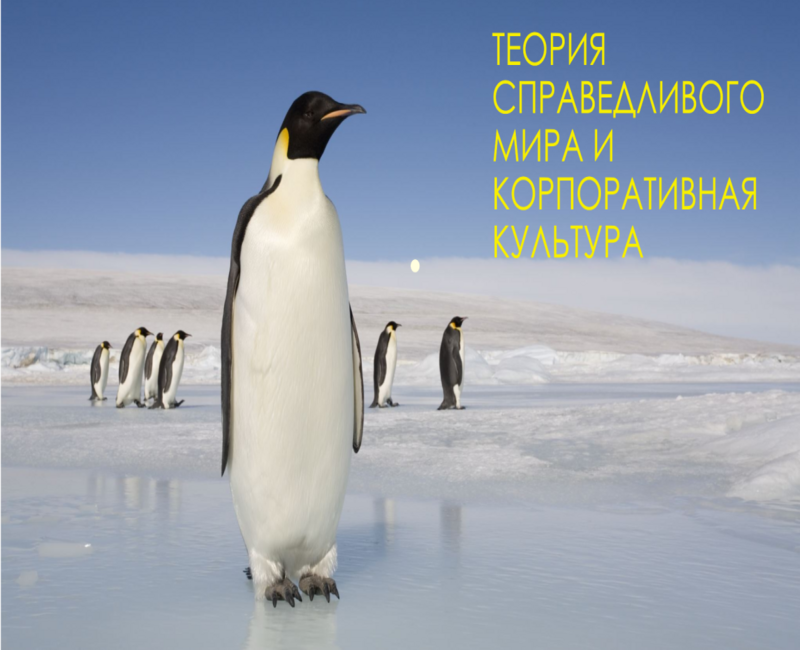 Теория «справедливого мира» и корпоративная культура